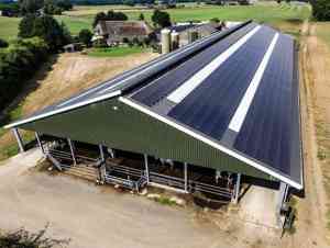 zonnepanelen_budel_Scx_Solar_B.V._4.jpg
