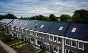 zonnepanelen_budel_Scx_Solar_B.V._5.jpg