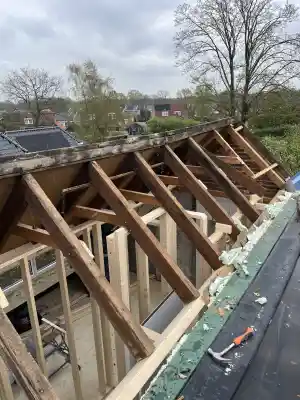 dakdekker_woerden_Sky_vastgoed_onderhoud__3.jpg