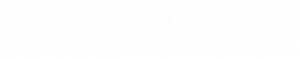 schoorsteenveger_bodegraven_Schoorsteenveegbedrijf_Joop_Van_Leeuwen_2.jpg