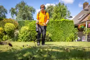 hovenier_breda_Tuingemak_Hoveniers_5.jpg