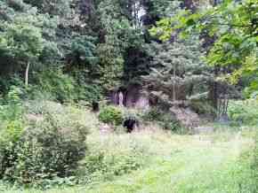 immobilienmakler_bad-driburg_ProCasa_Immobilien_GmbH_&_Co._KG_4.jpg