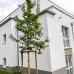 immobilienmakler_bonn_Gabriel_Hrabowski_Immobilien_e.K._3.jpg