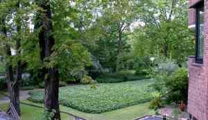 immobilienmakler_krefeld_Appl_Immobilien_e._K._2.jpg
