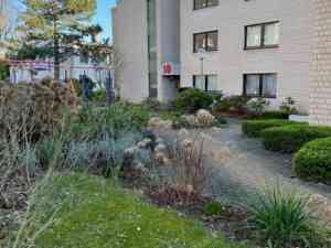 immobilienmakler_solingen_Hitzegrad_Immobilien_6.jpg