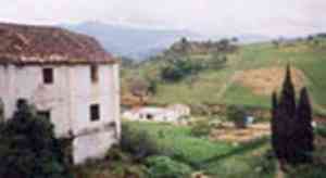 immobilienmakler_wettringen_Schophuis_Immobilien_GmbH_2.jpg