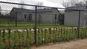 hekwerk_nuland_Tielemans_Hekwerk_en_Tuinhout_BV_2.jpg