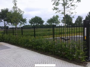 hekwerk_etten-leur_Graumans_Hekwerk_3.jpg
