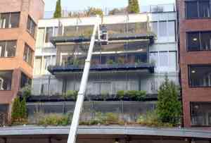 stratenmaker_amsterdam_Muller_Garden_Life_B.V._6.jpg