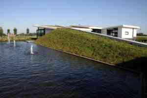 hekwerk_rhoon_Antwan_Tuin_Totaal_b.v._(Hoveniersbedrijf_Antwan_Tuin_Totaal_B.V.)_6.jpg