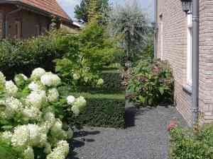hekwerk_winterswijk_Breuer_Hoveniers_&_Landschapswerk_B.V._5.jpg