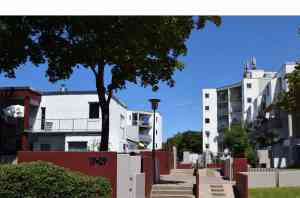immobilienmakler_bornheim_Realkauf_Bonn_Immobilien_GmbH_3.jpg