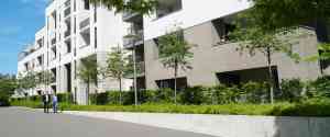 immobilienmakler_essen_k_mal_zwei_5.jpg