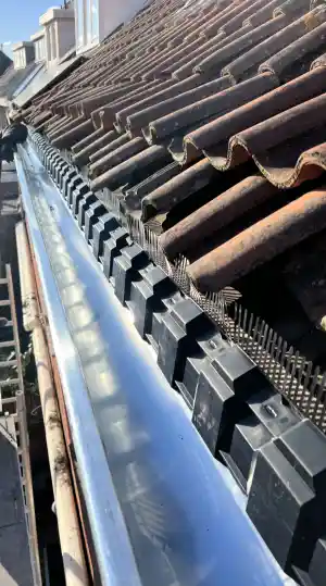 dakdekker_den-haag_Dakwerk_dwt_5.jpg