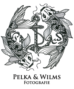 videograf_delmenhorst_Pelka_&_Wilms_Fotografie_in_Bremen,_Delmenhorst_und_Oldenburg_2.jpg