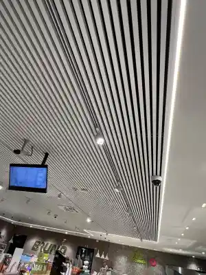 Plafond reinigen van Bruno Tongeren.jpg