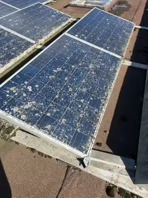 Zonnepaneel reinigen bij Lambrechts&Nicolaers.jpg