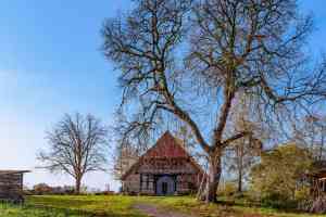 videograf_langwedel_Sylvia_Bothmer_-_Fotografie_7.jpg