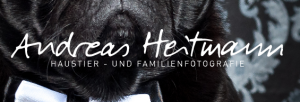 videograf_schortens-accum_Andreas_Heitmann_Familien_und_Haustierfotografie_2.jpg