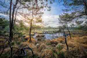 hochzeitsfotograf_k%C3%B6ln_Michael_Eichhorn_|_Fotograf_in_Köln_und_Bonn_4.jpg
