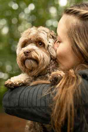 fotograf_stipsdorf_Tierfotografie_Stefanie_Kaml_4.jpg