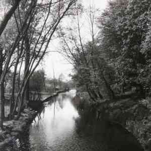 videograf_gifhorn-niedersachsen_Foto_Mauersberger_7.jpg