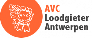 loodgieter_antwerpen_AVC_BVBA_2.jpg