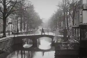 advocaat_den-haag_Eckhardt_Advocatuur_4.jpg