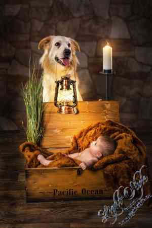 fotograf_rodenbach_Fotostudio_Light-Style_4.jpg