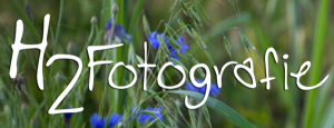 fotograf_haiger_H2_Fotografie_2.jpg