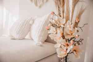 videograf_bad-hersfeld_Chantee_Charlott_Fotografin_4.jpg