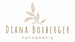 videograf_gr%C3%BCnstadt_Diana_Boxberger_Fotografie_2.jpg