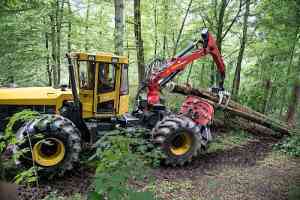 videograf_kelkheim-taunus_Photografic_Dietrich_Milde_5.jpg