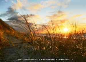videograf_ribnitz-damgarten_Das_Fotostudio_Katharina_Steinberg_2.jpg