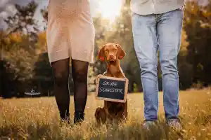 Babybauchshooting .jpg