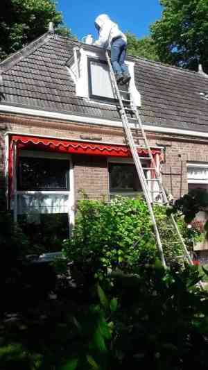 ongediertebestrijder_sneek_Sneeker_Plaagdier_Expert_4.jpg