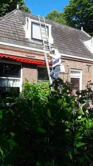 ongediertebestrijder_sneek_Sneeker_Plaagdier_Expert_3.jpg
