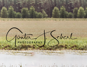 videograf_k%C3%BCmmersbruck_Fotostudio_Günter.J.Scharl_2.jpg