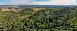 videograf_hochstadt-am-main_wilmvisuals_/_Stephan_Wilm_3.jpg