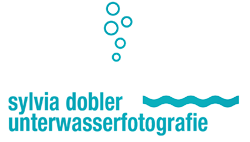 videograf_maisach_Sylvia_Dobler_mobile_Fotografie_und_Unterwasserfotografie_2.jpg