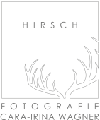 videograf_n%C3%B6rdlingen_Fotohaus_Hirsch_2.jpg