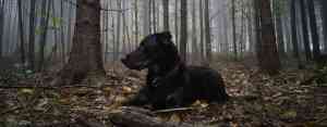 videograf_peiting_Willy_Sinn_Fine_Art_Photography_4.jpg