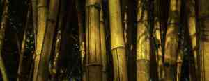 videograf_peiting_Willy_Sinn_Fine_Art_Photography_3.jpg