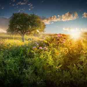 hochzeitsfotograf_sinsheim_Armin_Barth_Photography_6.jpg