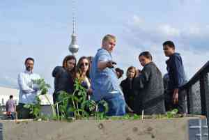 finanzberater_berlin_avesco_Sustainable_Finance_AG_6.jpg