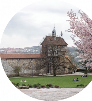 finanzberater_esslingen-am-neckar_FHB_Finanzberatung_für_Heilberufe_GmbH_2.jpg