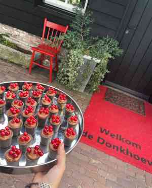 catering_oost-west-en-middelbeers_Rebelicious_(VEGAN)_5.jpg