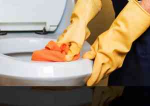 vloerlegger_den-bosch_Brush_&_Clean_4.jpg