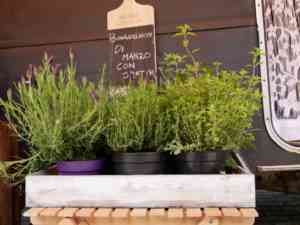 catering_zoetermeer_studio_Bims_en_Boems_2.jpg