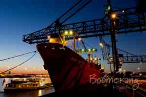 fotograaf_capelle-aan-den-ijssel_Boomerang_Fotografie_4.jpg